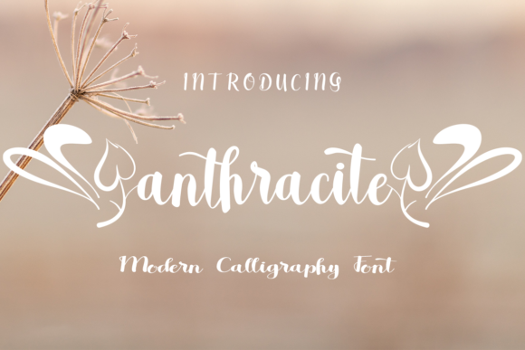 Anthracite: A Whimsical Script Font for Editorial Charm