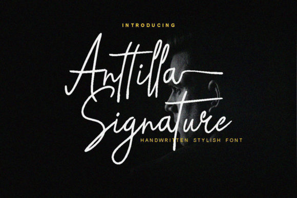 Anttilla Signature: A Delicate Script Font for Web Design
