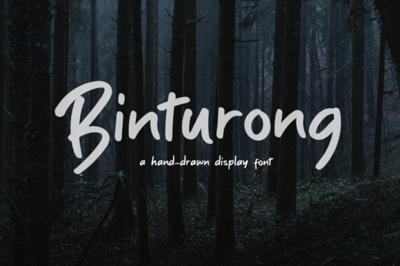 Binturong: A Playful Script Font for Crafters and Creators