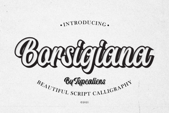 Borsigiana: A Stylish Cursive Font for Dynamic Web Design