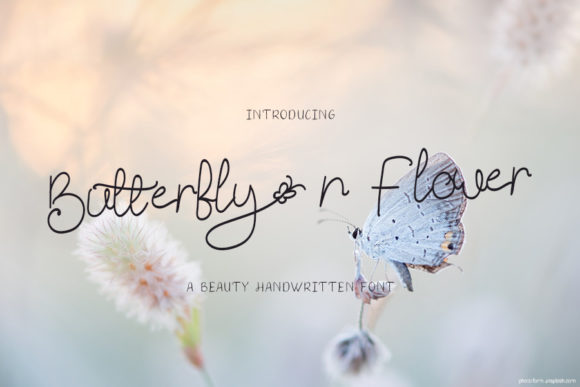 Butterfly N Flower: A Delicate Handwritten Font for Web Design