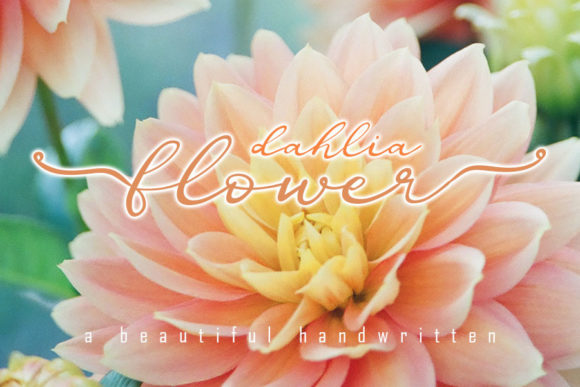Elevate Your Editorial Design with Dahlia Flower Font