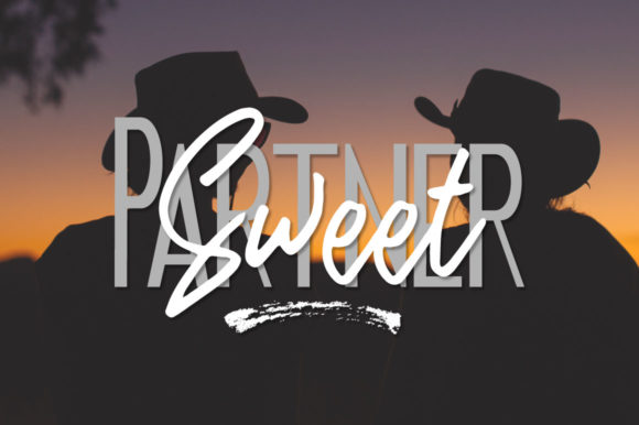 Enhance Your Campaigns with Sweet Partner Font