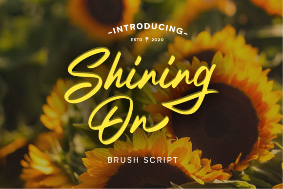 Shining on: A Radiant Script for Your Brand